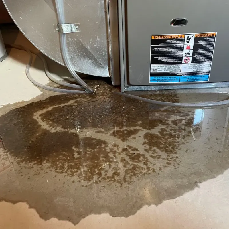 Pipe Burst and Leak Restoration in Corydon, IA