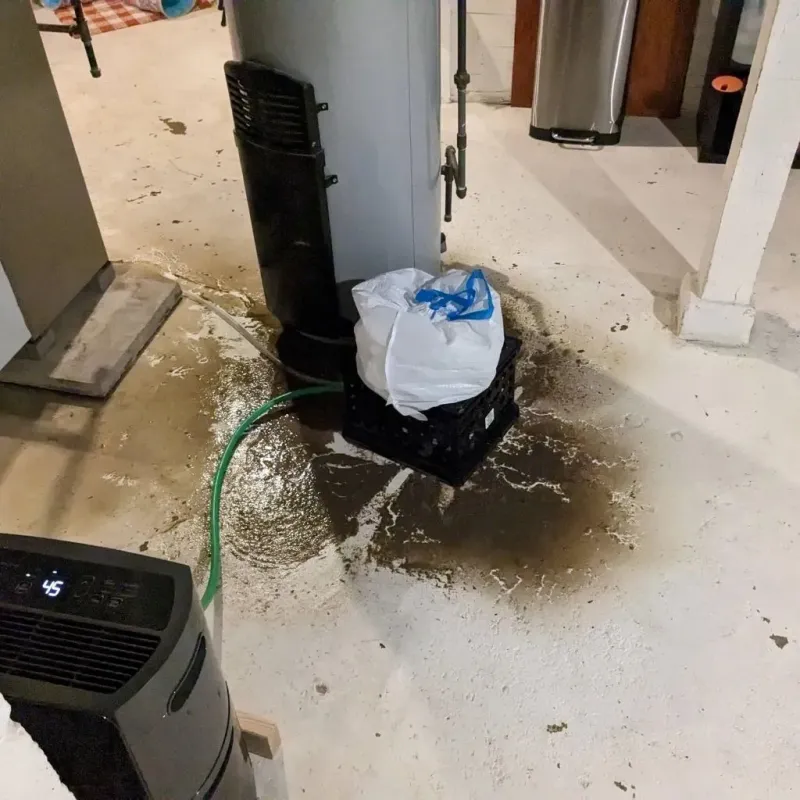 Sewage Backup Cleanup Service in Corydon, IA